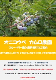 カムロ農園でブルーベリー摘み体験　ブルーベリー園入園料割引のご案内