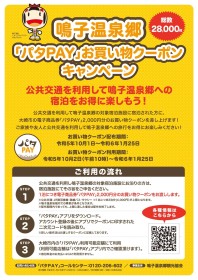 パタPAY ご利用案内